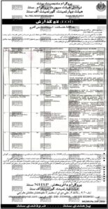 Latest National Health Support Program Jobs 2024 Advertisement