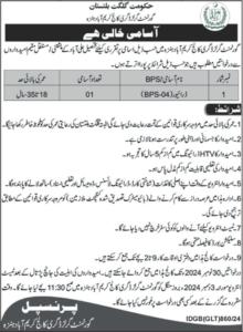 Government Girls Degree College Karimabad Hunza Job 2024 Advertisement