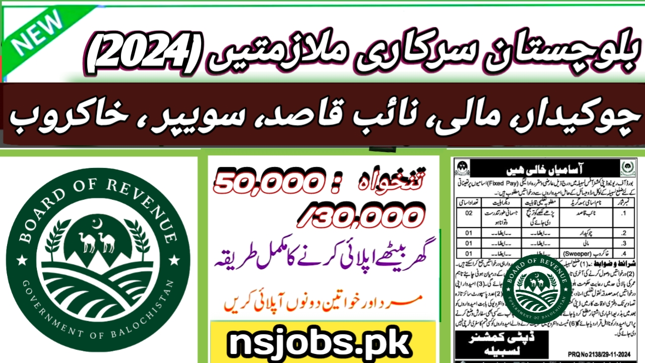 Apply for Government Jobs in Lasbela – Board of Revenue Hiring for Multiple Vacancies