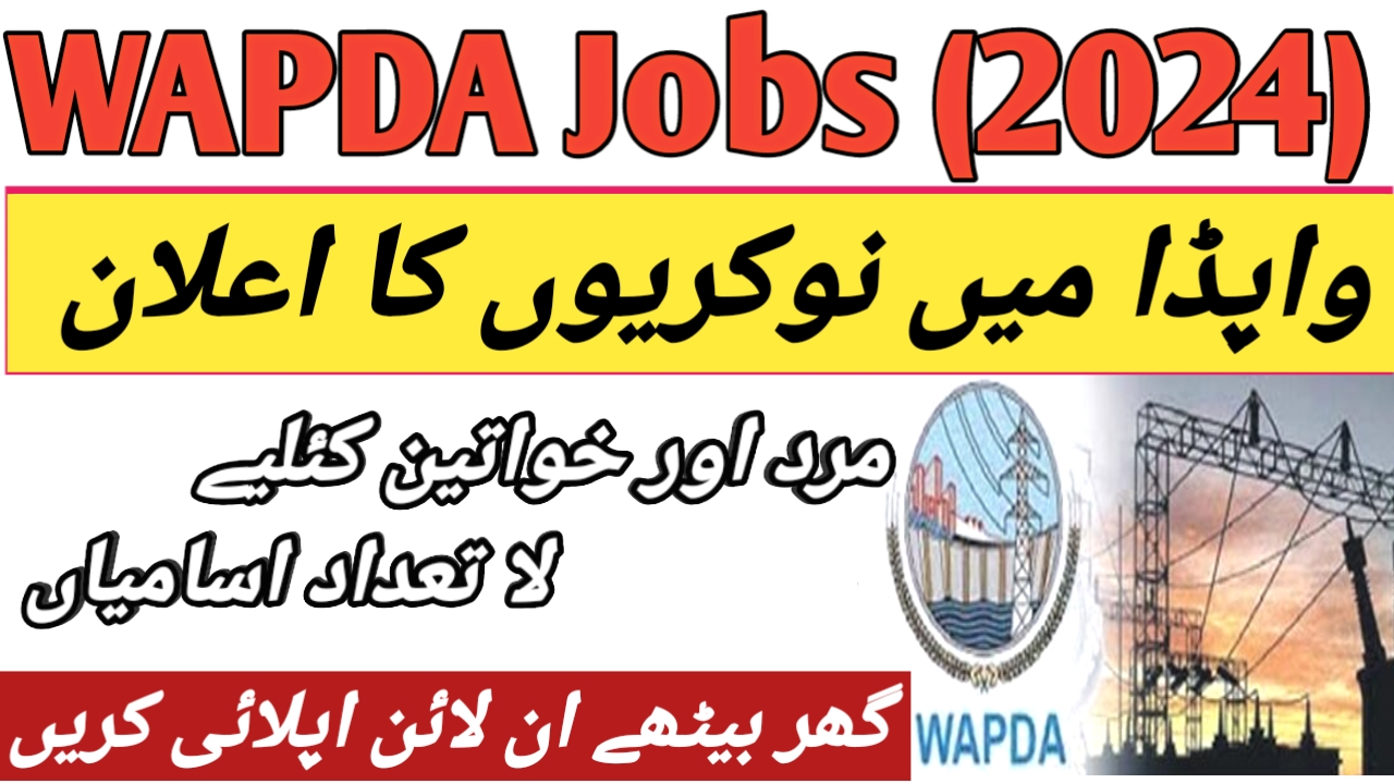 WAPDA Management Jobs 2024: Apply for Director and Deputy Director Positions in Security and Vigilance