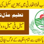 Punjab Agriculture Food & Drug Authority Jobs 2025