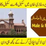 Civil Courts Jobs in Dera Ghazi Khan 2025 - Apply for Mali