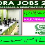 NADRA Islamabad Management Jobs 2024: Network, Systems, and NOC Roles