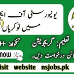University of Education