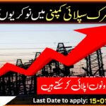 Peshawar Electric Supply Company Job 2025 Advertisement