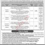 University of Loralai Job Opportunities 2025 Advertisement- ApplyHere!