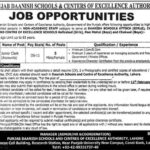 Punjab Daanish Schools & Centers of Excellence Authority Jobs 2025 Advertisement