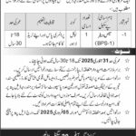 Mess Waiter Vacancy in Lahore: Government Organization Advertisement 2025