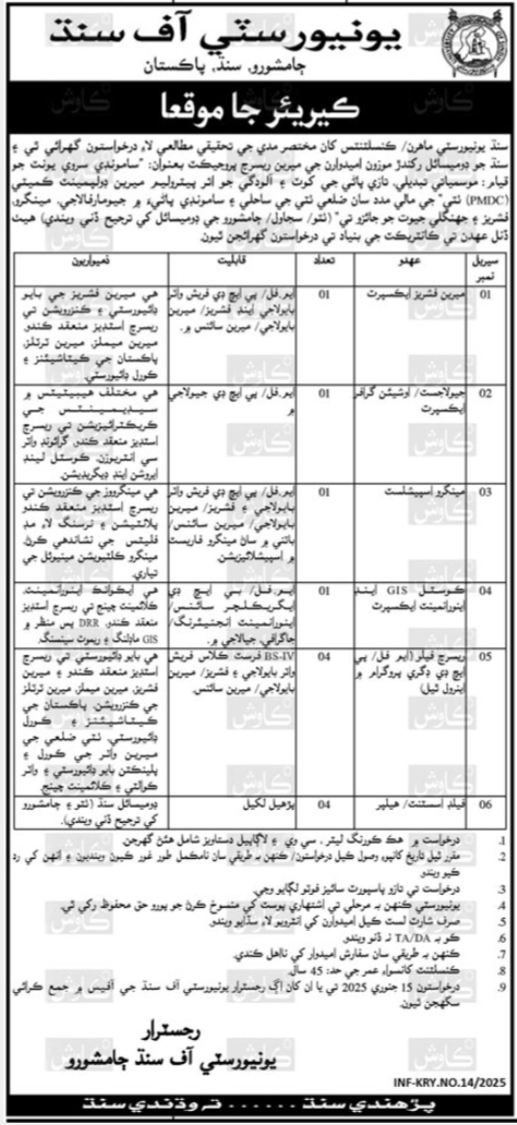 Latest Government Job at University of Sindh Jamshoro -Advertisement