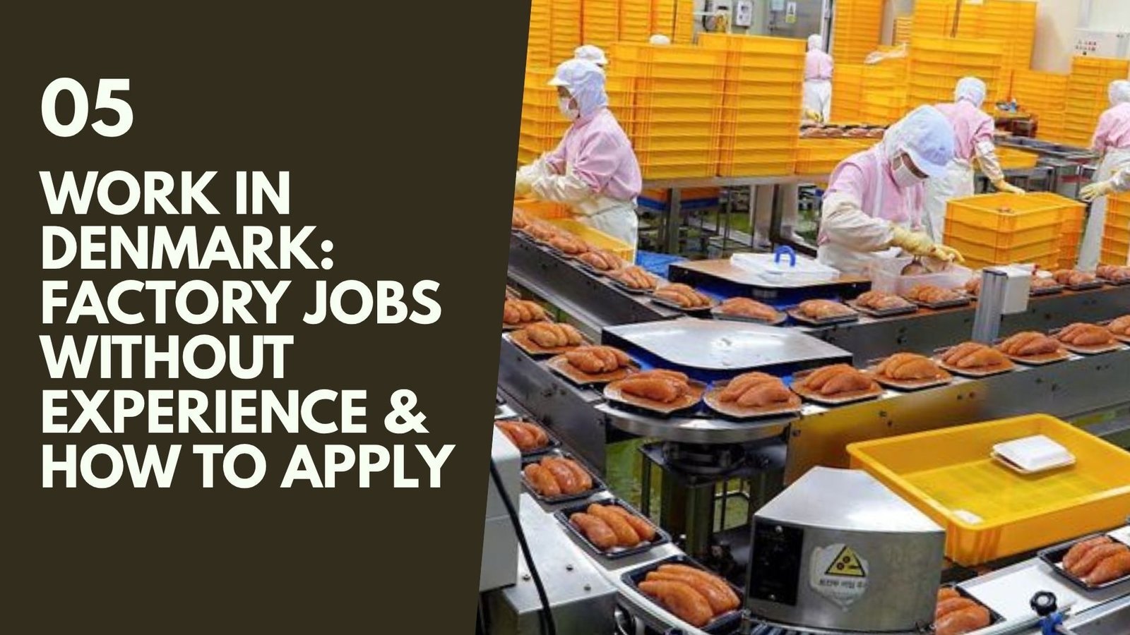 Work in Denmark: Factory Jobs Without Experience & How to Apply